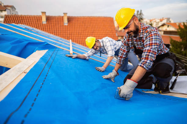 Best Green or Eco-Friendly Roofing Solutions  in Grandview, IL
