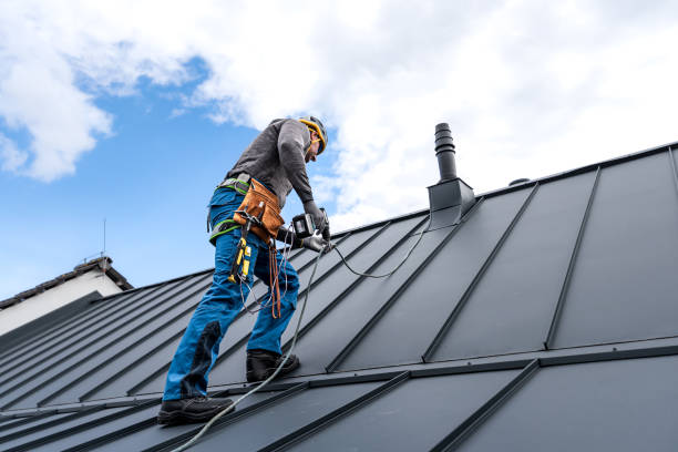 Professional Roofing Service in Grandview, IL